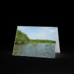 Baby Mangrove Trees Blank Card