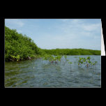 Baby Mangrove Trees Blank Card