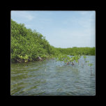 Baby Mangrove Trees Magnet