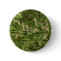Baby Mantis ~ button by Andy2302 Baby Mantis ~ button