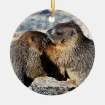 baby marmots christmas ornaments