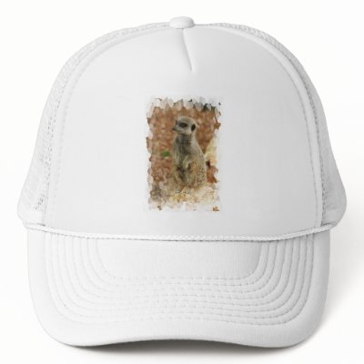 Baby Meerkat Baseball Hat by WildlifeAnimals