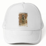 Baby Meerkat Baseball Hat