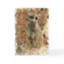 Baby Meerkat Greeting Card