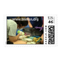 Baby Moby at the TMMSN postage