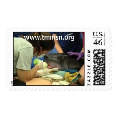Baby Moby at the TMMSN Stamps by texasmmsn