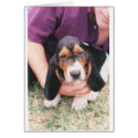 Baby Mocca card