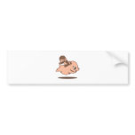 Baby Monkey (Going Backwards on a Pig) bumper stickers