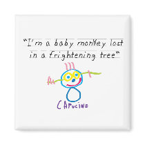 Baby monkey magnets
