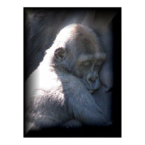 Baby Monkey posters