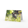 Baby Moose Card