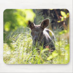 Baby Moose Mousepad