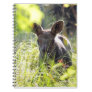 Baby Moose Notebooks
