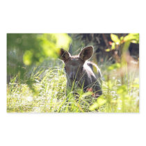 Baby Moose Rectangle Sticker