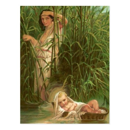 Baby Moses And The River Nile Postcard Zazzle