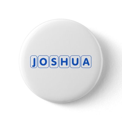 Baby Name Joshua Pins by babysnames
