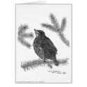 Baby North American Robin Pen and Ink cards by dragling Baby North American Robin Pen and Ink cards