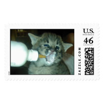 Baby Oliver with Milk on Face postage by MarisaKatnic Baby Oliver with Milk on Face postage