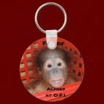 Baby Orangutan Alfred keychains