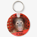 Baby Orangutan Alfred keychain