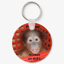 Baby Orangutan Alfred keychains by Rebecca_Reeder Baby Orangutan Alfred keychains