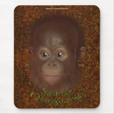 Baby Orangutan Face