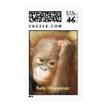 Baby Orangutan in Indonesia Postage