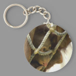 Baby Orangutan Keychain