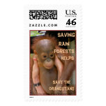 Baby Orangutan poster child postage