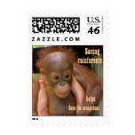 Baby Orangutan poster child small size postage