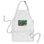 Baby Orangutan with Mother  Apron