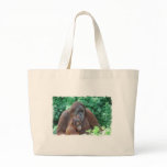 Baby Orangutan with Mother  Canvas Bag