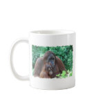 Baby Orangutan with Mother  Coffee Mug