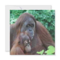 Baby Orangutan with Mother Invitations