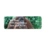 Baby Orangutan with Mother Mailing Labels