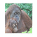 Baby Orangutan with Mother Notepad