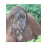 Baby Orangutan with Mother Notepad
