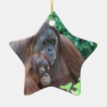 Baby Orangutan with Mother Ornament