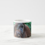 Baby Orangutan with Mother Specialty Mug Espresso Cup