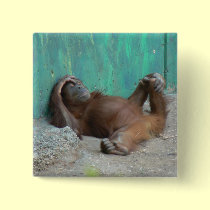 Baby orangutang resting buttons