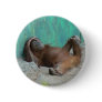 ape, baby, orangutang, calm, cute, funny, fur,