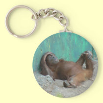 Baby orangutang resting keychains