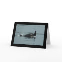 Baby Orca Greeting Card by OrcaWatcher Baby Orca Greeting Card