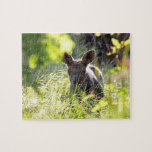 Baby ose puzzle