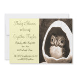 Baby Owl Baby Shower Invitation
