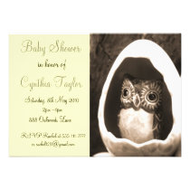 Baby Owl Baby Shower Invitation invitations