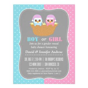 Baby Owl Gender Reveal Party Polka Dots Announcement