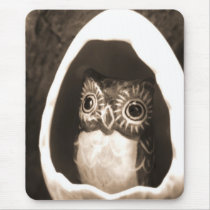 Baby Owl mousepads