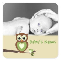 Baby Owl/ Photo Stickers