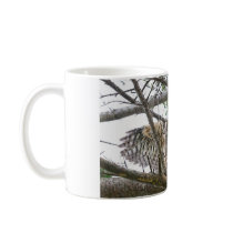 Baby Owl Picture Mug